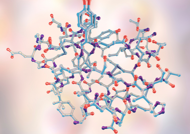 Protein Structure Prediction Using the Face-Centered Cubic Lattice