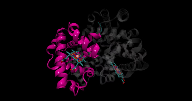 Drug Metabolism Design
