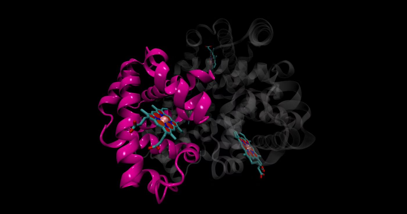 Drug Metabolism Design